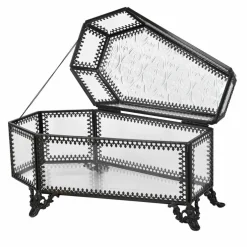 8" Glass Coffin Terrarium by Ashland®