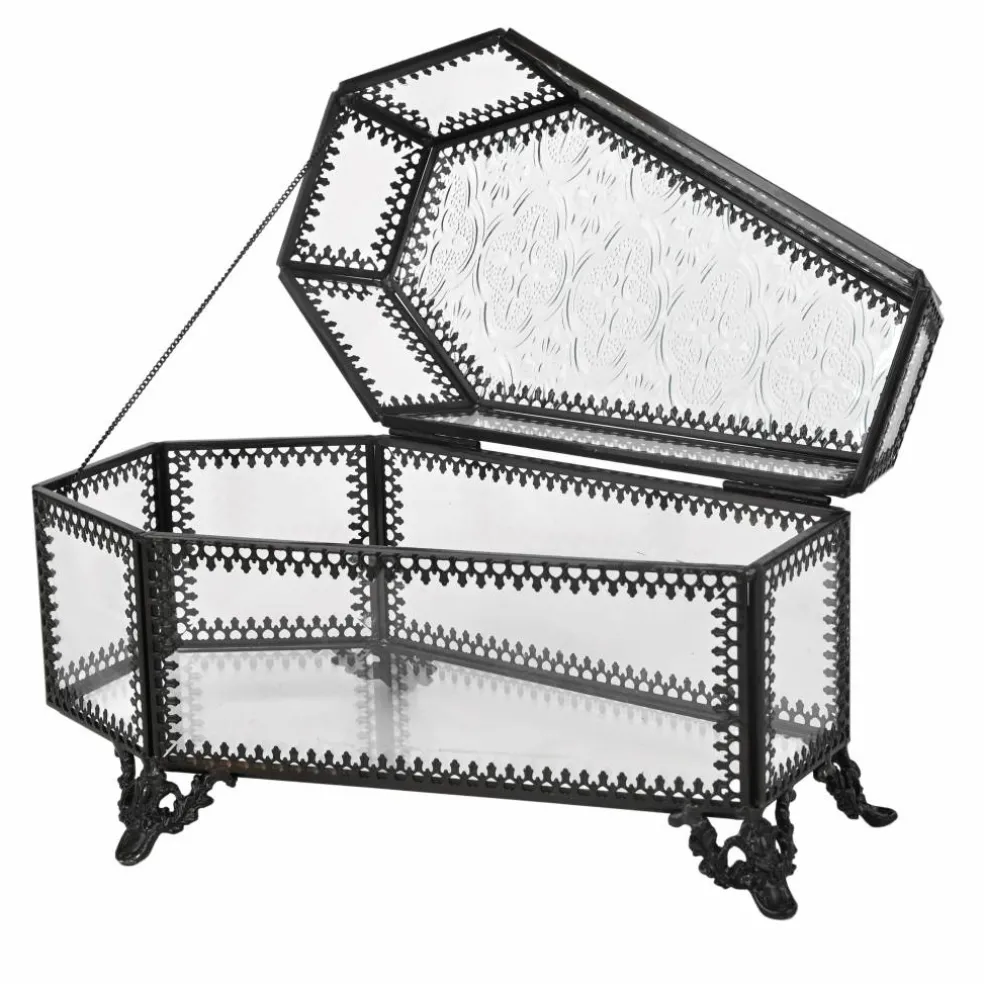 8" Glass Coffin Terrarium by Ashland®