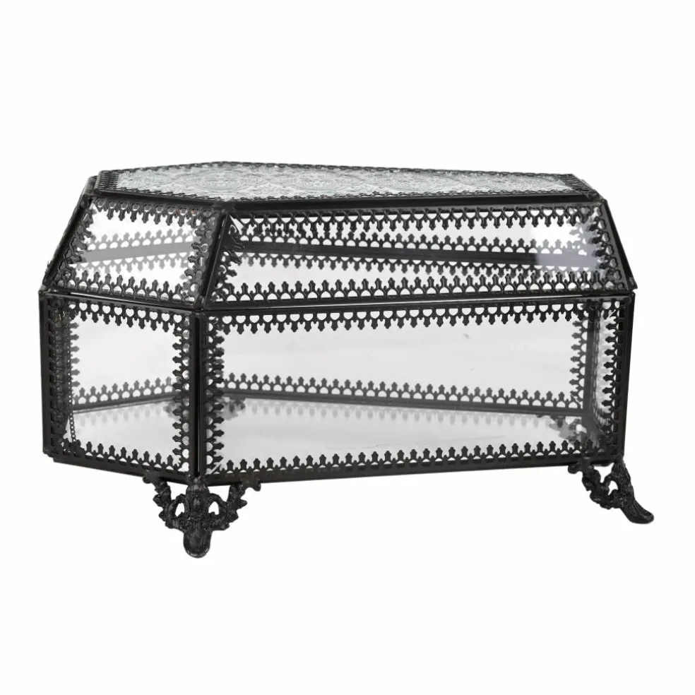8" Glass Coffin Terrarium by Ashland®