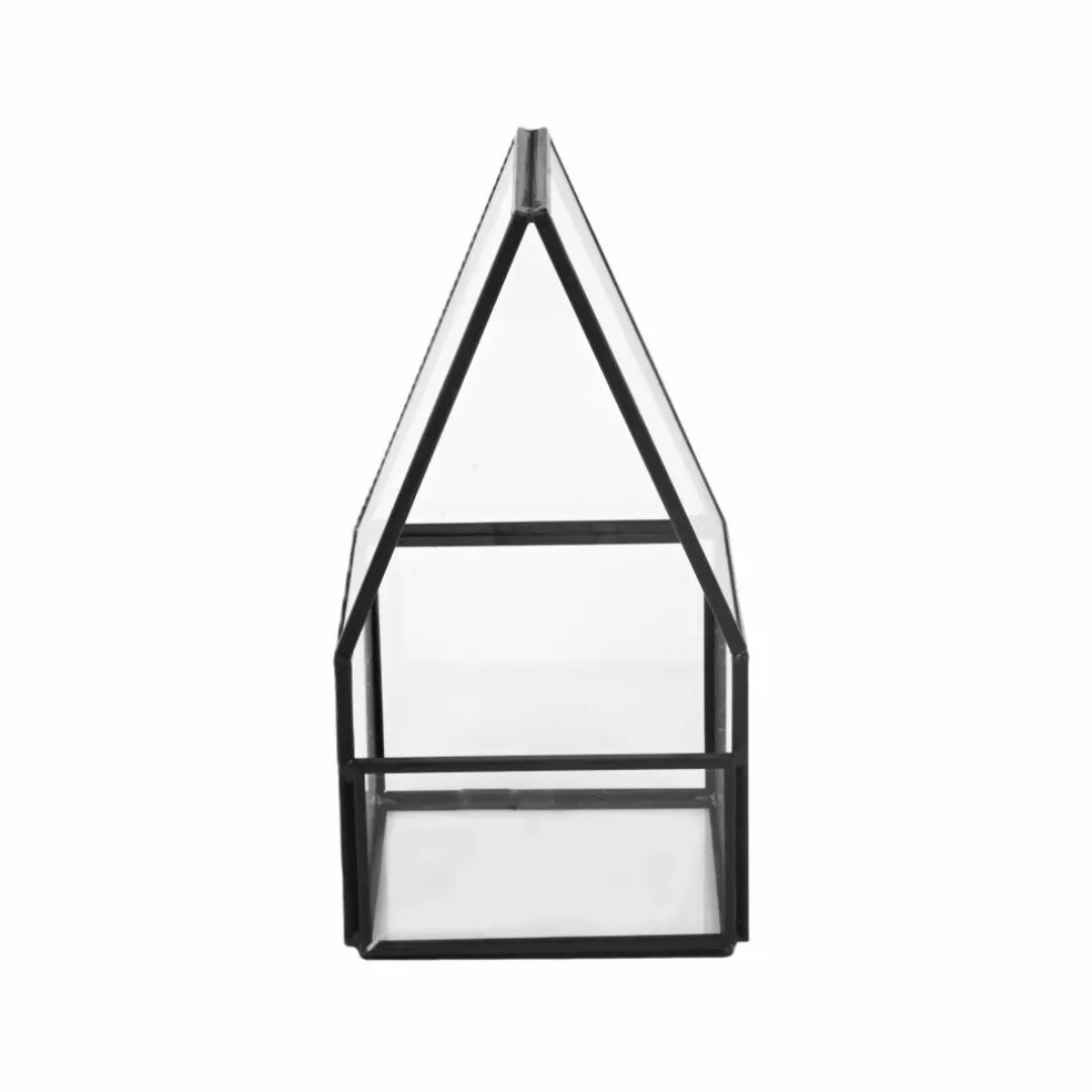 Glass Terrarium by Ashland®