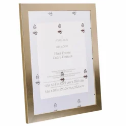Gold Belmont Wall Float Frame by Ashland®