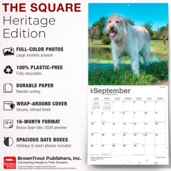 Goldendoodles | 2027 12 x 24 Inch (Hanging) Monthly Square Wall Calendar | Plastic-Free