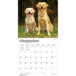 Golden Retrievers | 2027 12 x 24 Inch (Hanging) Monthly Square Wall Calendar | Foil Stamped Cover | Plastic-Free