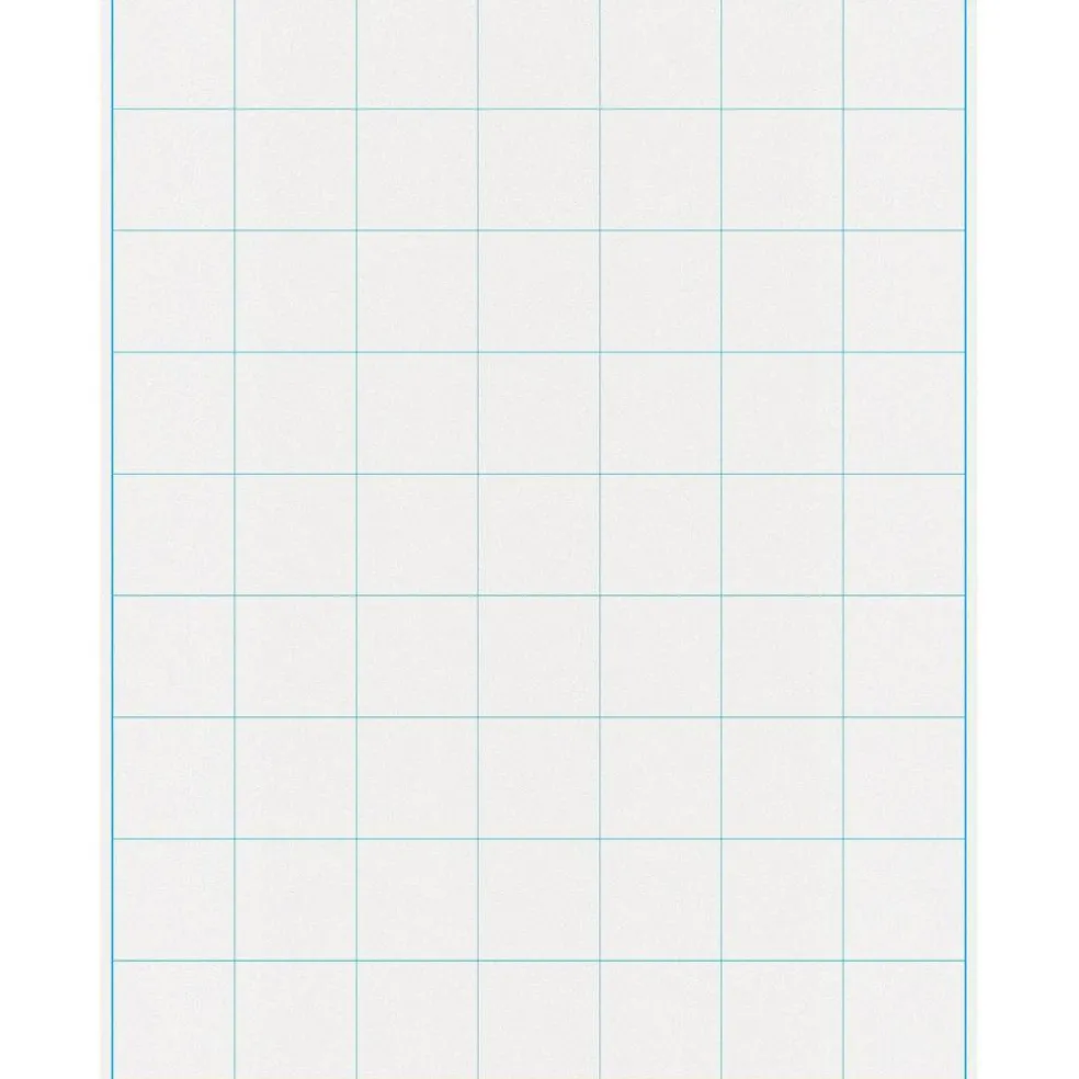 Graphing Grid Large Dryerase Chart