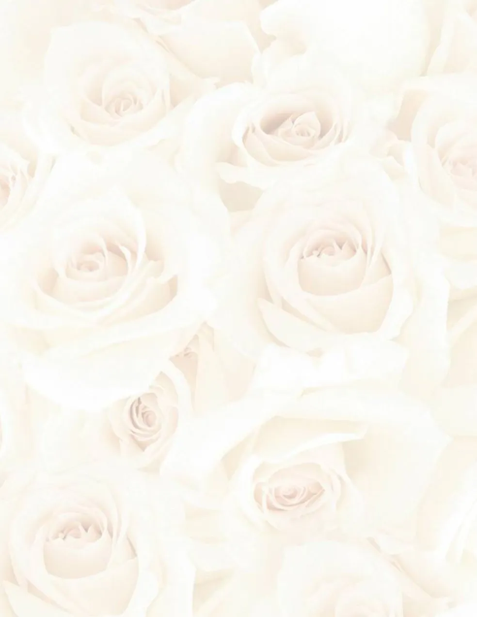 Great Papers! Blush Roses Stationery Letterhead, Invitations and Announcements, Printer Friendly, 8.5"x11", 80 Pack