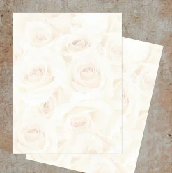 Great Papers! Blush Roses Stationery Letterhead, Invitations and Announcements, Printer Friendly, 8.5"x11", 80 Pack