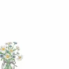Great Papers! Mason Daisies Stationery Letterhead, Invitations and Announcements, Printer Friendly, 8.5"x11", 80 Pack