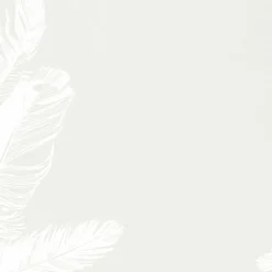 Great Papers! Soft Feathers Stationery Letterhead, Invitations and Announcements, Printer Friendly, 8.5