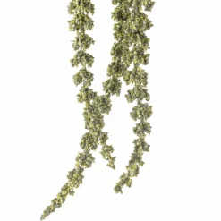 Green Amaranthus Stem by Ashland®