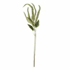 Green Amaranthus Stem by Ashland®