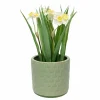 5.75" Green Ceramic Pot by Ashland®