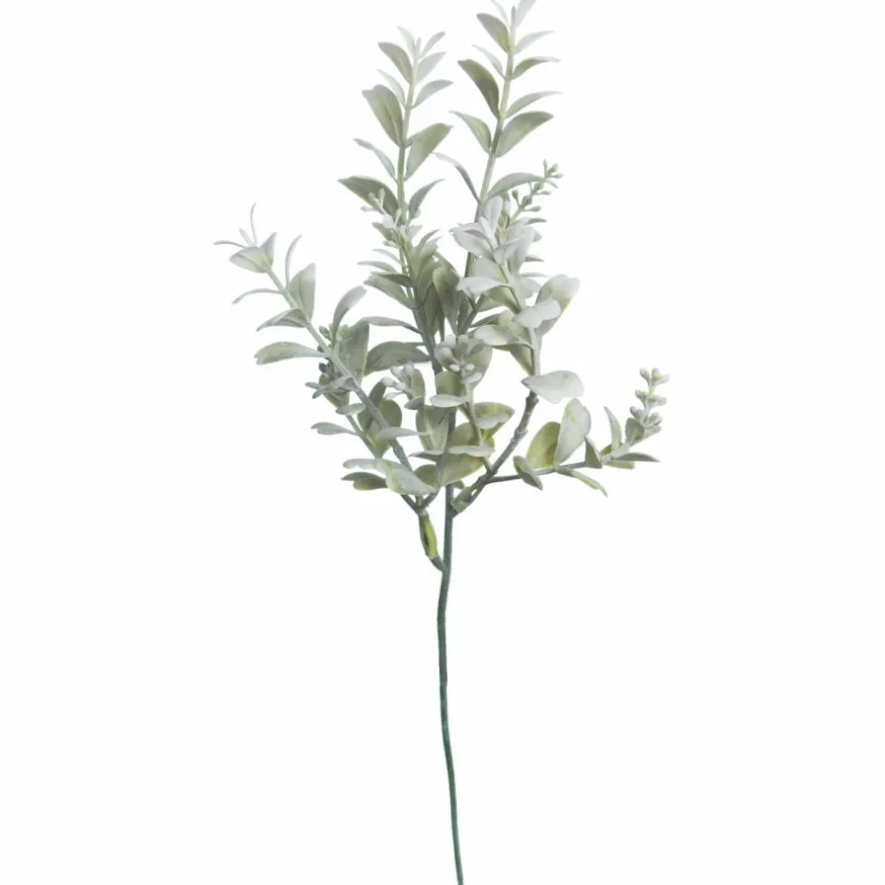 12" Green & Cream Boxwood Pick by Ashland®
