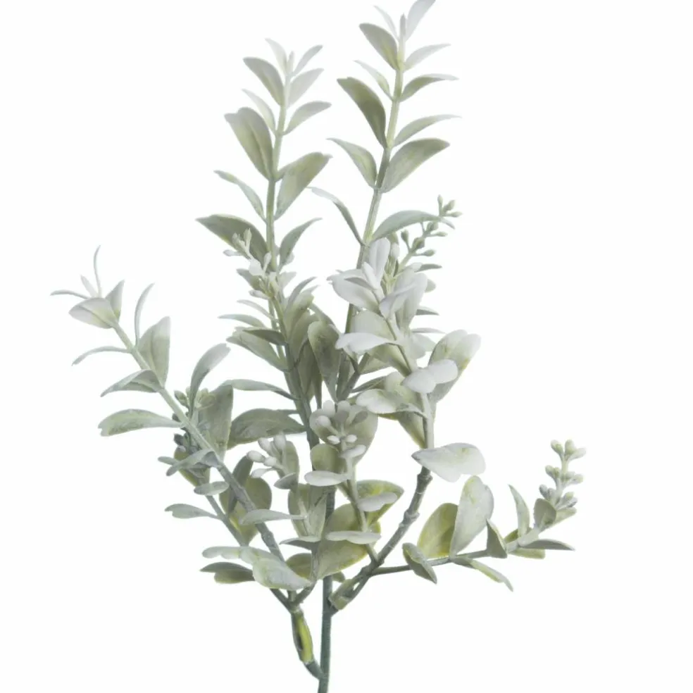 12" Green & Cream Boxwood Pick by Ashland®