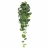 32" Green Dripping Peperomia Plant in Pot by Ashland®