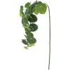 40" Green Leaf Stem by Ashland®