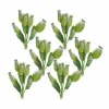 9.5" Green Poppy Pod Foliage Bundles, 6ct.