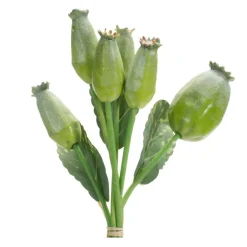 9.5" Green Poppy Pod Foliage Bundles, 6ct.