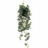 25" Green Potted Hanging Curly Ficus by Ashland®