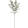 Green Sharp Fern Stem by Ashland®