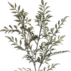 Green Sharp Fern Stem by Ashland®