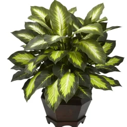 22" Green Triple Golden Dumb Cane Plant with Wood Vase