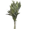 21" Green Willow Eucalyptus by Ashland®