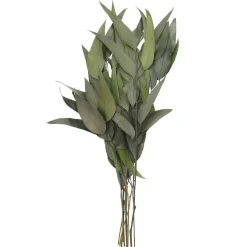 21" Green Willow Eucalyptus by Ashland®