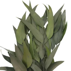 21" Green Willow Eucalyptus by Ashland®