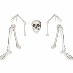 Ground Breaking Skeleton by Ashland®