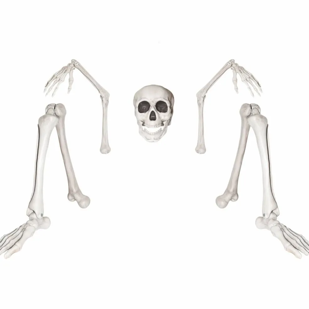 Ground Breaking Skeleton by Ashland®