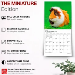 Guinea Pigs | 2027 7 x 14 Inch (Hanging) Monthly Mini Wall Calendar