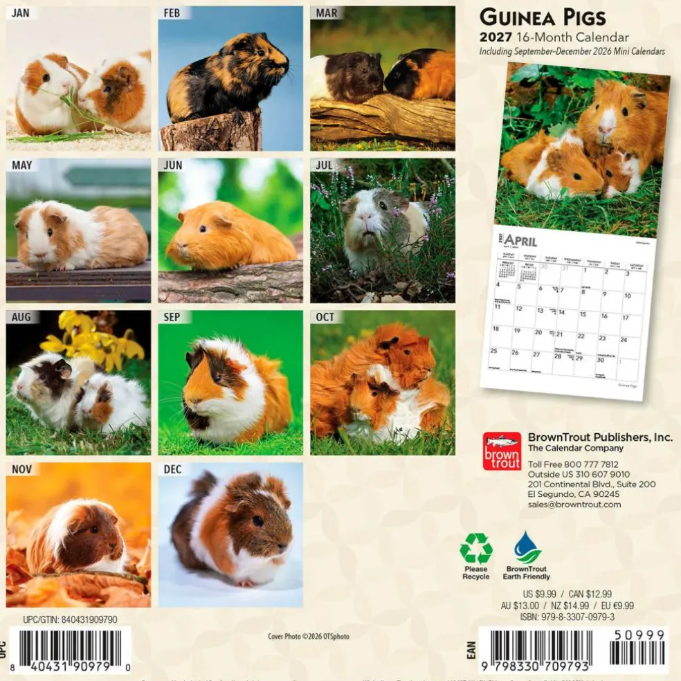 Guinea Pigs | 2027 7 x 14 Inch (Hanging) Monthly Mini Wall Calendar