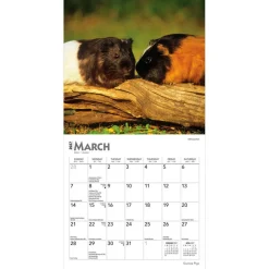 Guinea Pigs | 2027 7 x 14 Inch (Hanging) Monthly Mini Wall Calendar