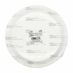 9" Halloween Orange & Black Striped Dinner Plates, 10ct. by Celebrate It™