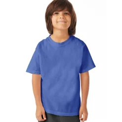 Hanes ComfortWash Youth Short Sleeve T-Shirt