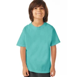 Hanes ComfortWash Youth Short Sleeve T-Shirt