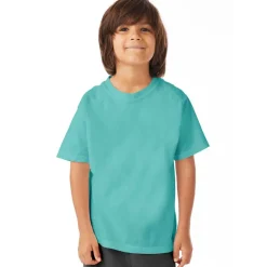 Hanes ComfortWash Youth Short Sleeve T-Shirt