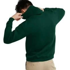 Hanes Men's EcoSmart Pullover Hoodie