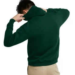 Hanes Men's EcoSmart Pullover Hoodie