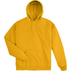Hanes Men's EcoSmart Pullover Hoodie