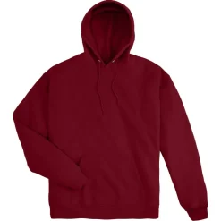 Hanes Men's EcoSmart Pullover Hoodie