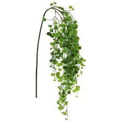 24" Hanging Foliage Stem by Ashland®