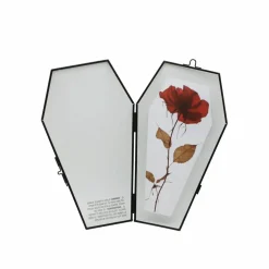 9.5" Hanging Glass Coffin Frame by Ashland®