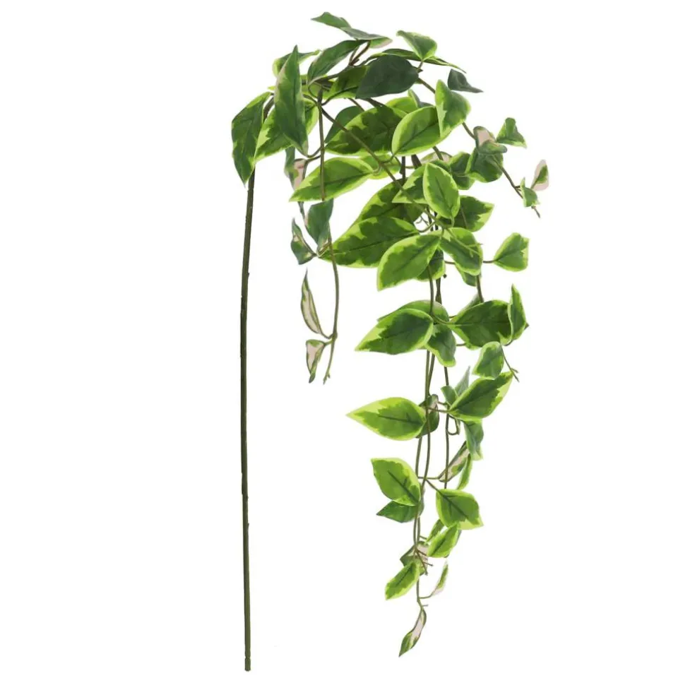 22" Hanging Hoya Leaf Stem by Ashland®