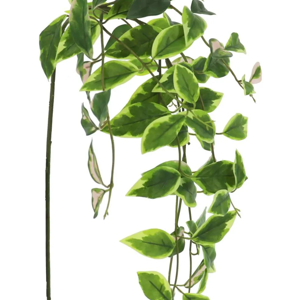 22" Hanging Hoya Leaf Stem by Ashland®