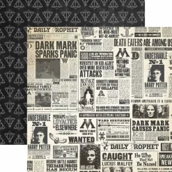 Harry Potter 12" x 12" 14-Sheet Decorative Double Sided Paper Pack for Scrapbooking and Crafts - Icons