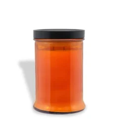 Haunted Patch: Pumpkin, Leather & Ginger Scented Halloween Candle (18 oz)