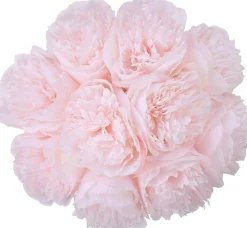 10 Heads Artificial Peony Silk Flowers for Home, Wedding, and Party Decor