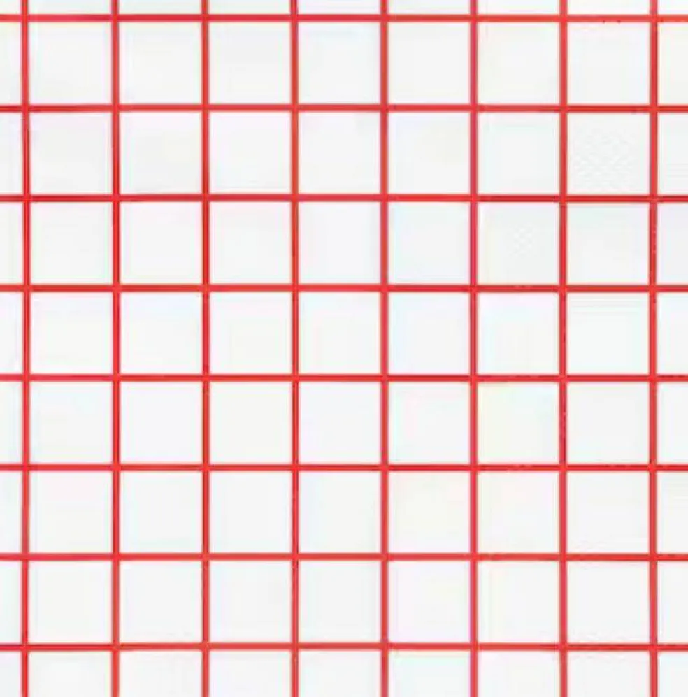 Heat Transfer Inkjet Iron-On White and Light Colored T Shirt Transfers Paper 8.5x11-25 Sheets Red Grid