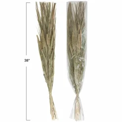 Hello Honey® 38" Dried Natural Canary Grass & Date Palm Bunch